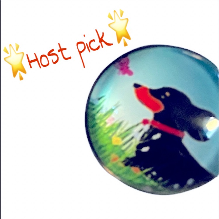 Host Pick Snap Button